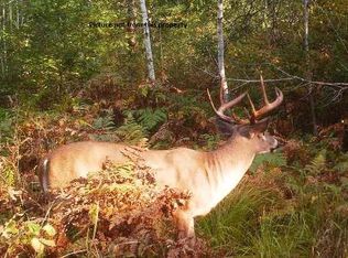 W7530 Kington Rd, Greenwood, WI 54437