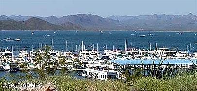4th image of 00XXX N Castle Hot Springs Road #-