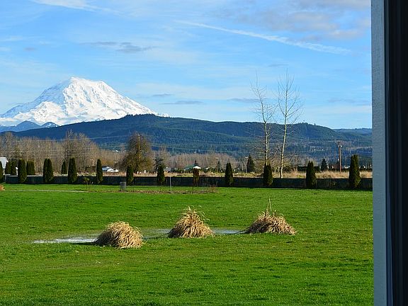 Amazing view of Mt. Rainier