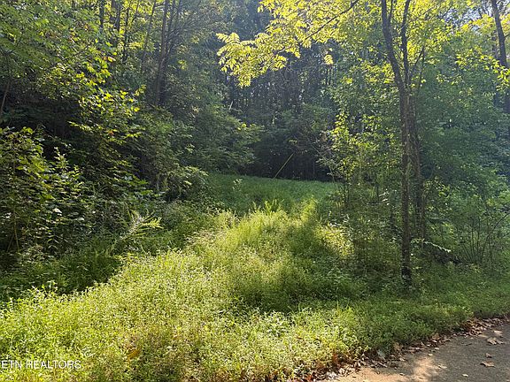 3rd image of Community Park Rd