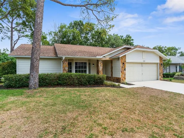 6509 Pine Meadows Dr, Spring Hill, FL 34606