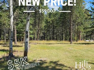 12019 White Owl St, Deadwood, SD 57732