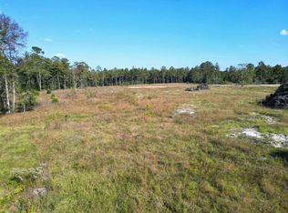 17752 NE Arnold Kelly Rd, Hosford, FL 32334