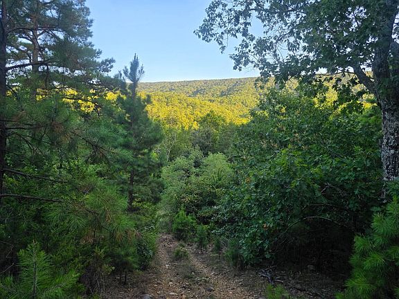 5th image of 0 Little Mountain Rd