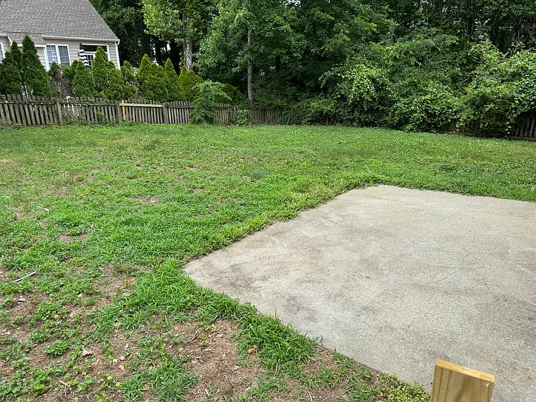 Rear Yard