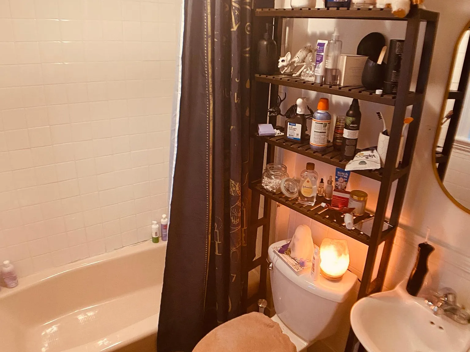 1 bed, 495 sqft, $955 — Photo 4