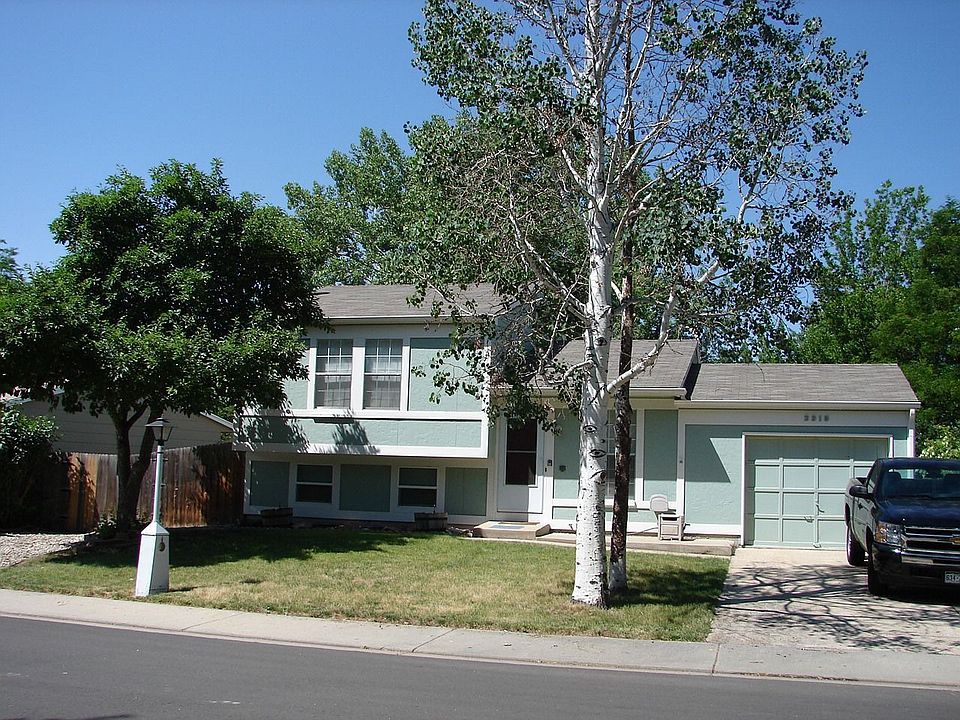 Mature trees 