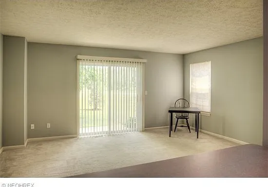 1010 Meadow Run — Photo 18