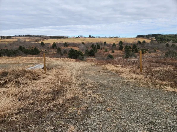 248 Ticknor Brook Rd, Whitney Pt, NY 13862