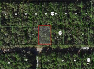 1163 E Odin Dr, Citrus Springs, FL 34434