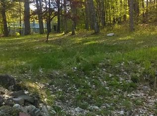 164 W River Rd, Wells, NY 12190