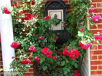 Front Porch Water Feature