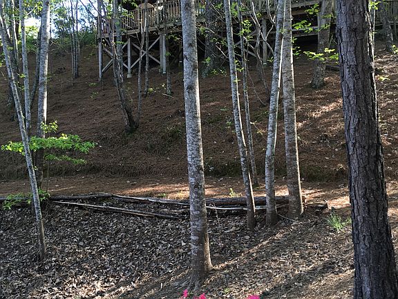 Looking at deck from picnic 