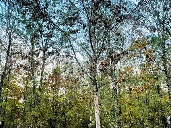 0 Richardson Rd Lot 41, Stonewall, LA 71078