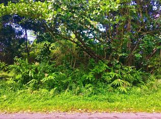 10th Avenue Kiele LOT 886, Keaau, HI 96749