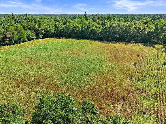 5th image of 12.91 Acres MOL GRANT STREET