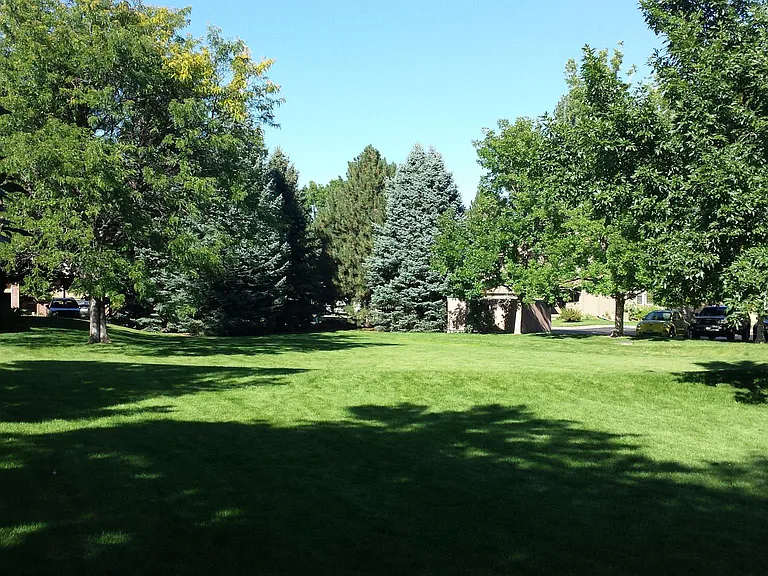 Community park.