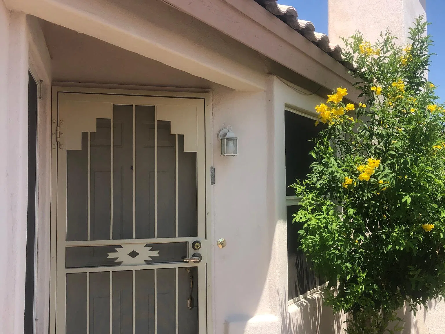 4028 E Desert Marigold Dr — Photo 4
