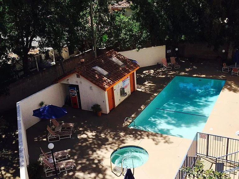 Palm Terrace — Photo 9