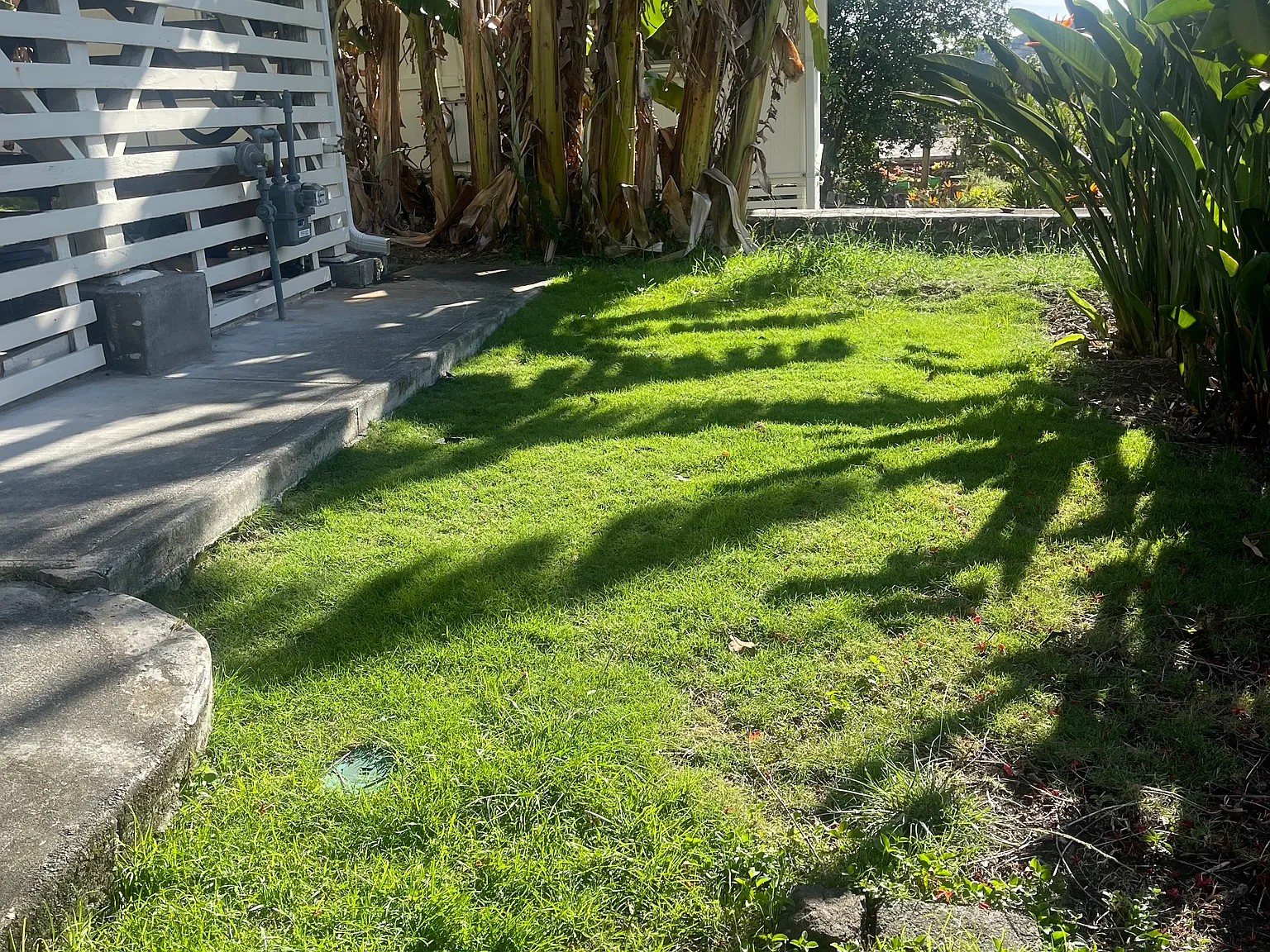 3 bed, 900 sqft, $3,550 — Photo 3