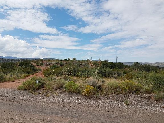 Views from the Back Porch
