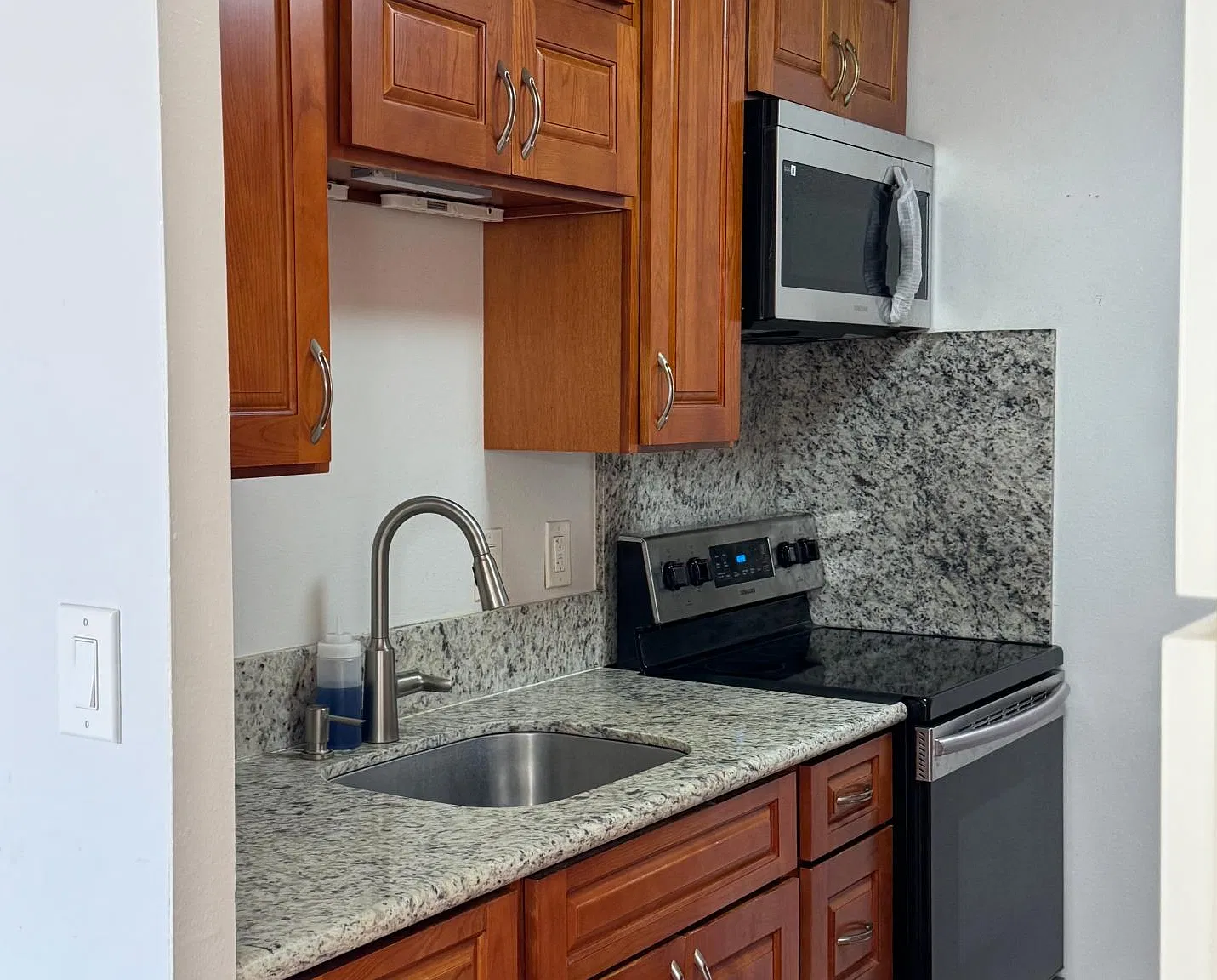 1 bed, 565 sqft, $2,350 — Photo 3