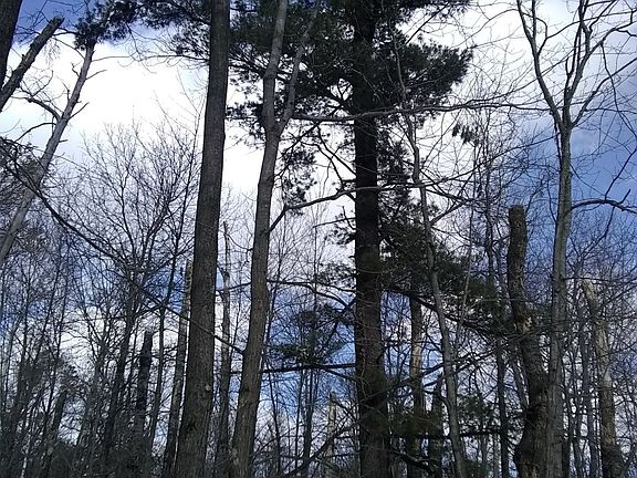 3rd image of W8827 Sand Ln Lot Wp001