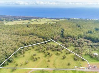 466039 Pua Ohia Pl LOT 1, Honokaa, HI 96727