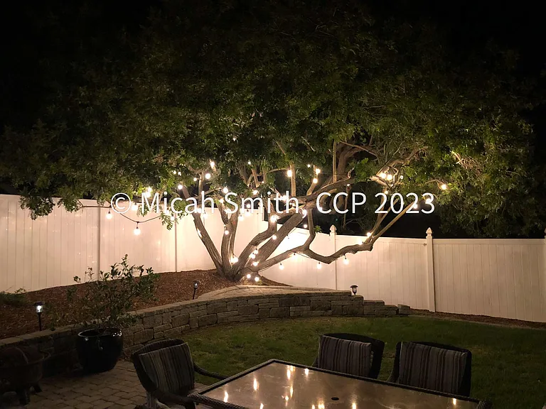 2325 Ganador Ct — Photo 15