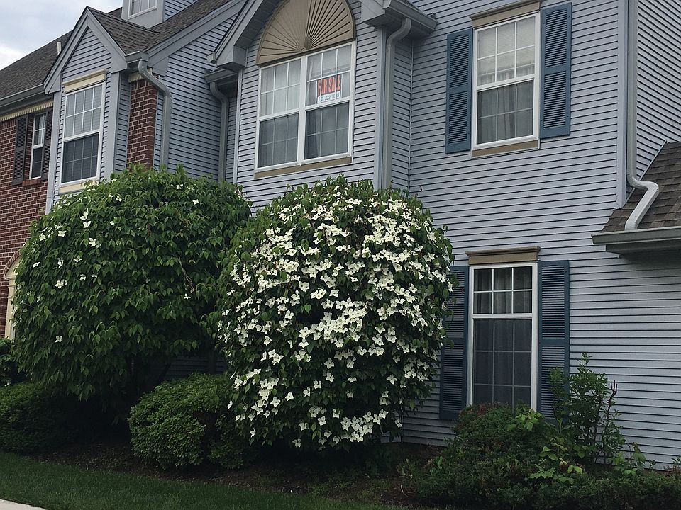 2nd image of 1 Rachel Ct