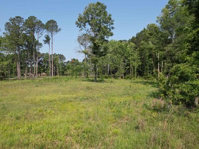 TBD Samuels Ave, Salters, SC, 29590