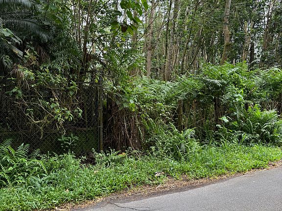 3rd image of Pahoa Rd Lot 17