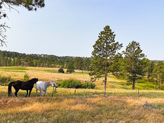 3rd image of 15557 Highway 385