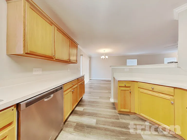 10908 Golden Silence Dr — Photo 22