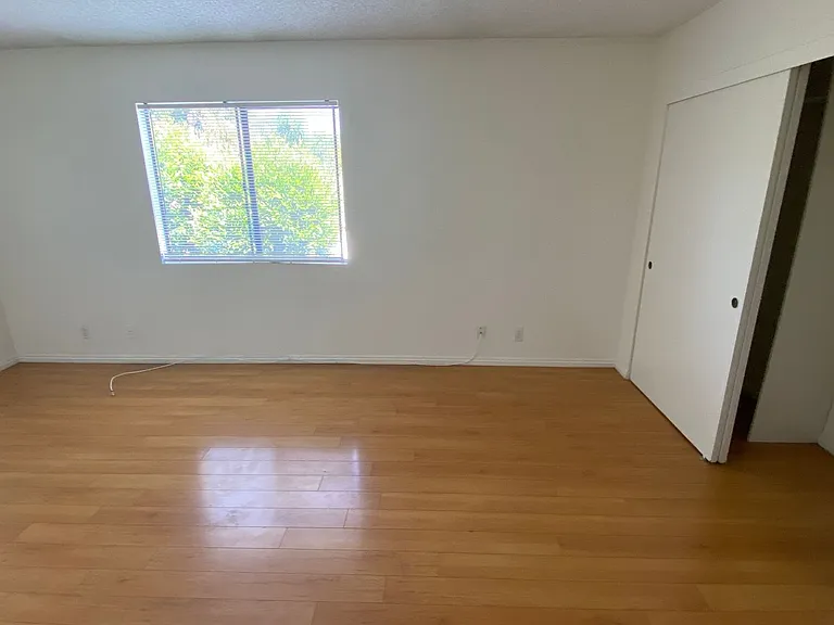 Apt Nelson — Photo 7