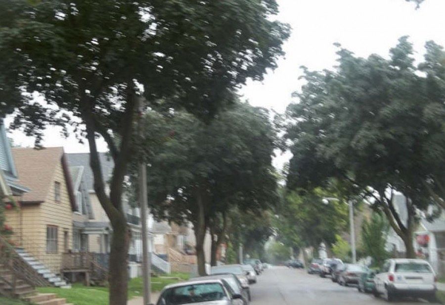 2nd image of 2429 S 9th St