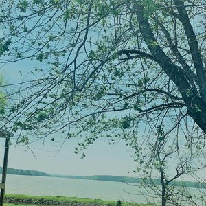 372 County Road 91, Rogersville, AL, 35652