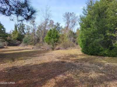 0 NW White Pond Cir Lot 11, Altha, FL, 32421