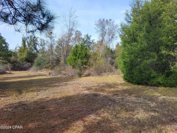 0 NW White Pond Cir Lot 11, Altha, FL 32421