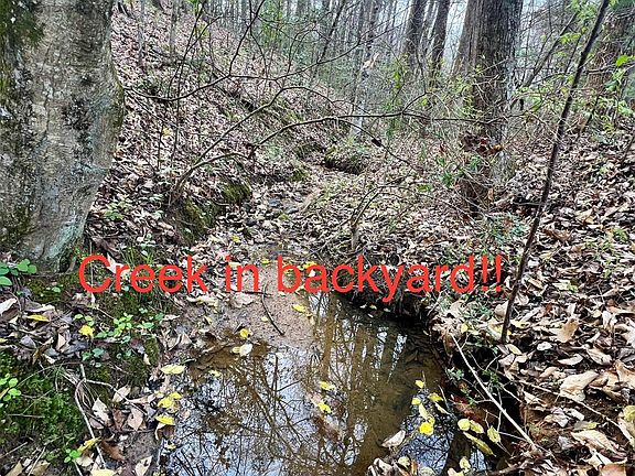 5th image of 145 Windsor Dr