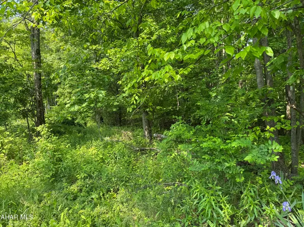 Hillside Dr, Ashville, PA 16613