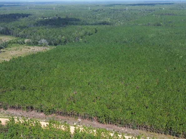 TRACT 2 Penny Morris Rd, Baxley, GA 31513