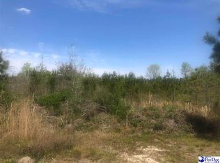 254 Scott Pond Rd, Hartsville, SC 29550