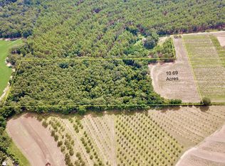 Summer Rd LOT 7, Slocomb, AL 36375