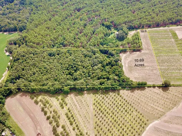 Summer Rd Lot 7, Slocomb, AL 36375