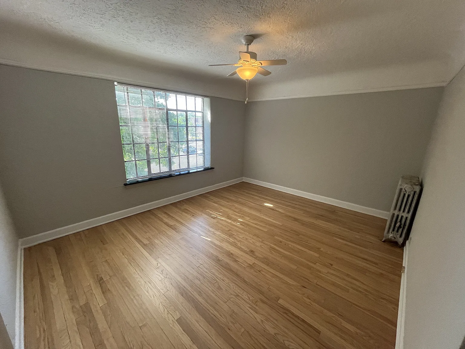 2548-58 W Fitch Ave — Photo 4