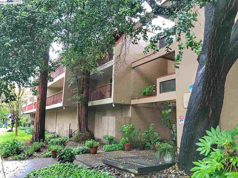 1st image of 1600 Carmel Dr APT 11