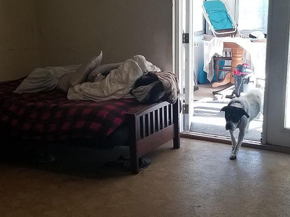 5th image of 1149 Bender Ave