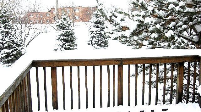 2nd image of 3054 Tangley Oaks Trl