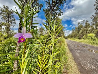 Naia St Lot 50, Mountain View, HI, 96771